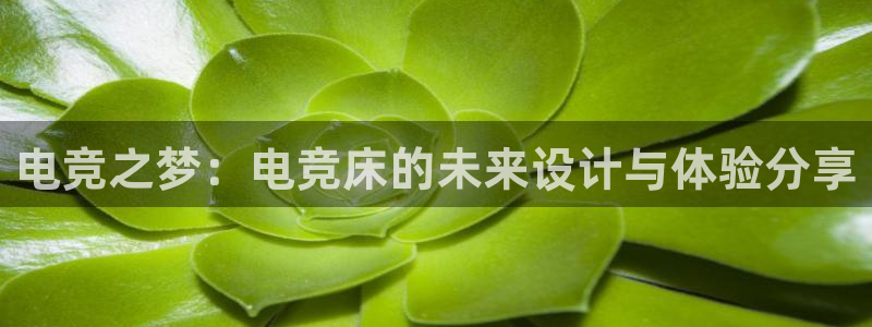 JJB电竞官方网站：电竞之梦：电竞床的未来设计与体验分享