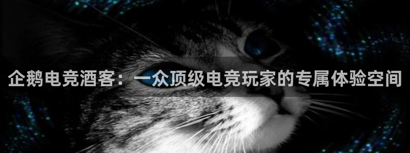 JJB电竞官：企鹅电竞酒客：一众顶级电竞玩家的专属体验空间